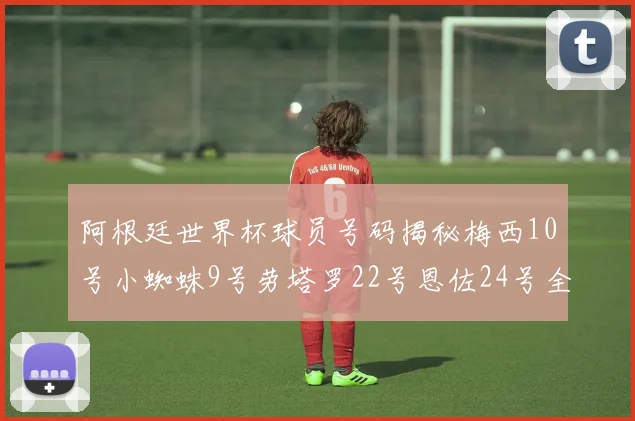 阿根廷世界杯球员号码揭秘梅西10号小蜘蛛9号劳塔罗22号恩佐24号全解析